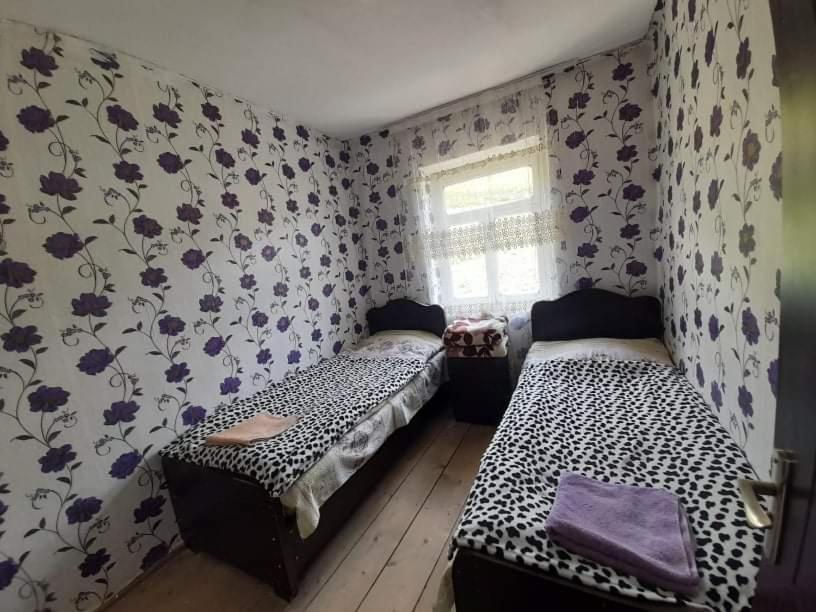 Guesthouse Lika 乌树故里 外观 照片